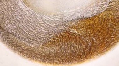 Bakır ve altından oluşan soyut bir alaşım. 