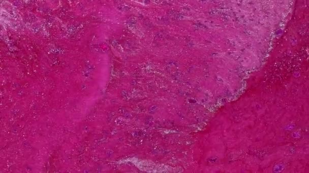 Un jet de peinture liquide rose avec des particules d'argent scintille. Il rappelle le mouvement des cellules vivantes à l'intérieur d'un organisme ou des rivières qui coulent du point de vue d'un oiseau.