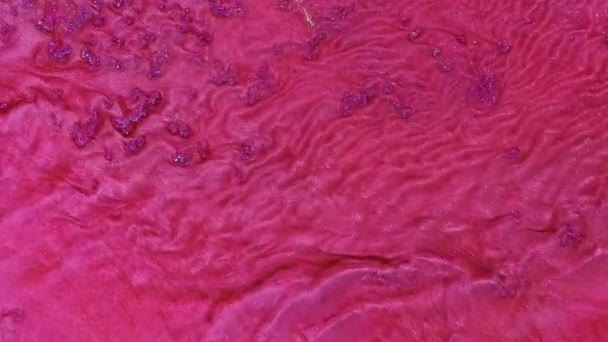 Μια ροή ροζ υγρής μπογιάς με σωματίδια ασημένιας λάμψης. Θυμάται την κίνηση των ζωντανών κυττάρων μέσα σε έναν οργανισμό ή ρέοντας ποτάμια από την οπτική ενός πουλιού. — Αρχείο Βίντεο