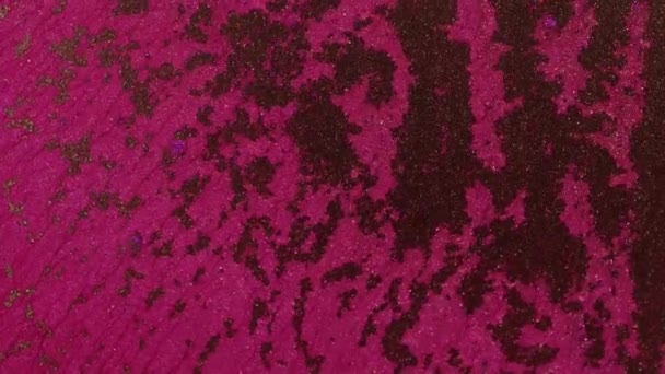 Proud růžové tekuté barvy s částicemi stříbrných jisker. Připomíná pohyb živých buněk uvnitř organismu nebo tekoucích řek z ptačí perspektivy. — Stock video