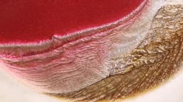 Una corrente di vernice liquida rosa con particelle di scintille d'argento. Ricorda il movimento di cellule viventi all'interno di un organismo o fiumi che scorrono dalla vista di un uccello. — Video Stock