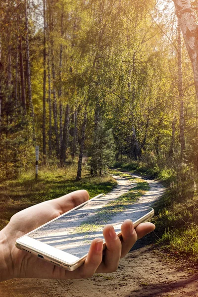 Carretera Forestal Continúa Teléfono Refleja Pantalla Del Teléfono Inteligente —  Fotos de Stock