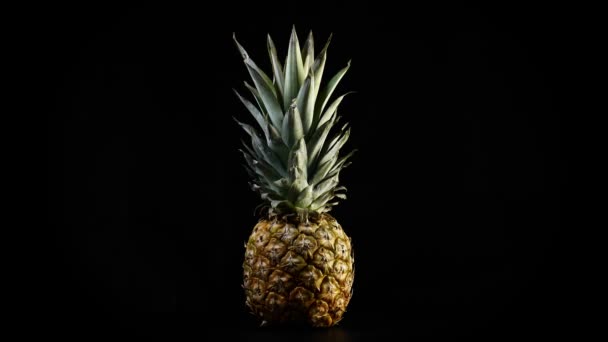 Piña Orgánica Fresca Exótica Girando Sobre Fondo Negro — Vídeos de Stock