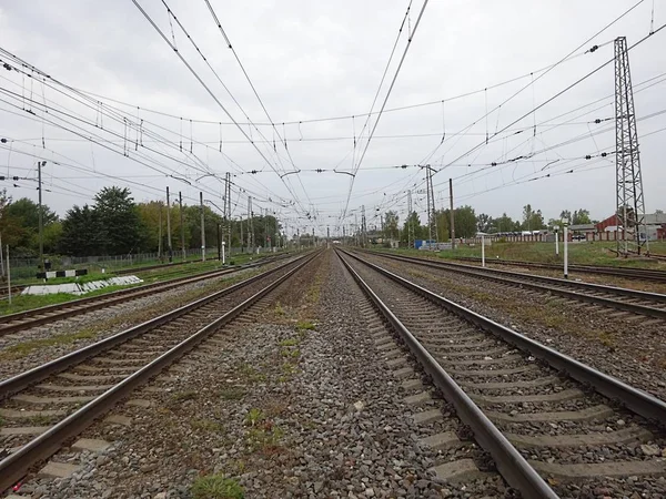 Demiryolu tren taşlar zemin ve telleri ve her iki tarafta ağaçlar. 