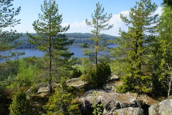 On the mountain there are pines and firs, large stones, a lake under the mountain, a small house on the shore of the Bay. The Bay on the horizon a dense forest. The lake is blue, the sky is blue.