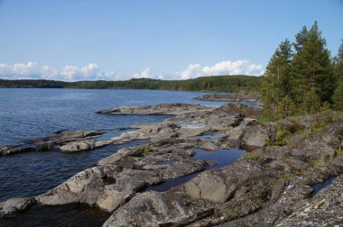 Kayalık sahil göl kıyısında çam ağaçlarının, moss. Açık güneşli gün. Yaz sonu erken sonbahar. Mavi gökyüzü, mavi su.