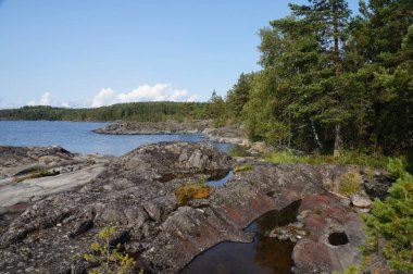 İğne yapraklı ve yaprak döken orman Gölü Bay rocky kıyısında. Açık güneşli yaz gün.