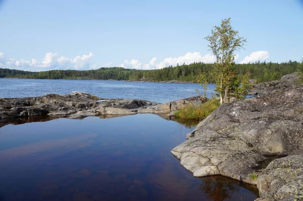 Lac Baie Avec Bouleau Sur Rivage Rocheux Côte Lointaine Envahie — Photo