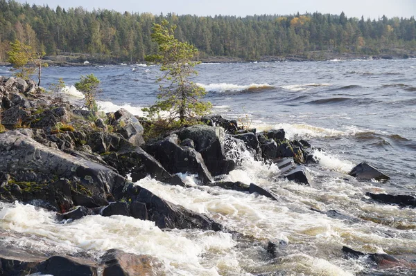 Baie Lac Avec Des Vagues Moussantes Par Une Journée Claire — Photo