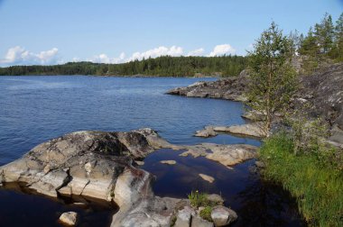 Göl Bay rocky kıyıda bir açık güneşli yaz gününde huş ağacı. Ormanlık sahil uzak. Mavi gökyüzü, mavi su, beyaz bulutlar.