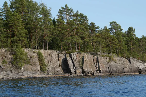 Rivage Rocheux Escarpé Lac Envahi Par Une Épaisse Forêt Pins — Photo