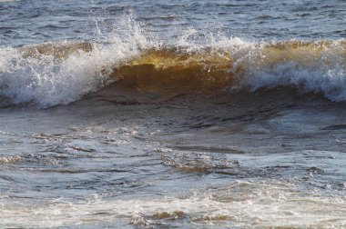 Rüzgar göl kenarında güzel bir dalga kret köpük alır. Dalga bir parçası ile dalga geçen güneş ışınlarının güzel sarı yüzünden.