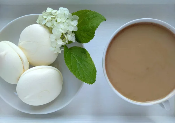 식사입니다 우유와 커피입니다 멜로입니다 꽃입니다 화이트 — 스톡 사진