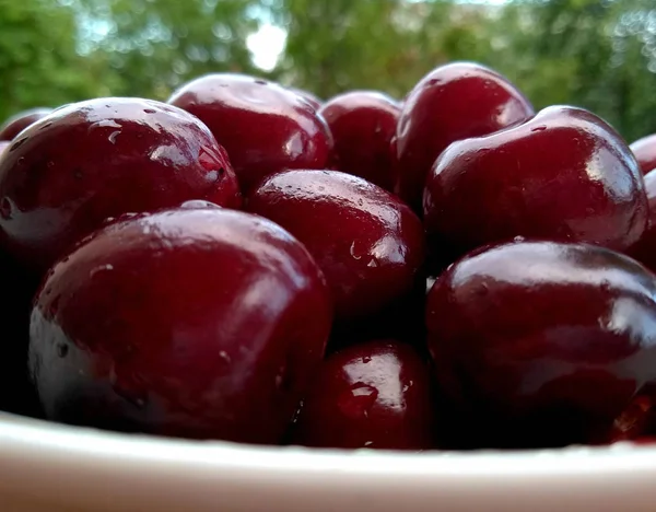 red sweet cherry. sweet cherry in bank on a pink background. free space.