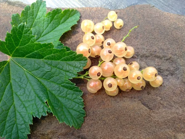 Groseille Blanche Vitamines Des Baies Dessert Moisson Été Végétarisme Alimentation — Photo