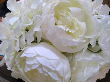 çiçekler. gül. makro. Yapay çiçek. bej. krem. Fildişi. Süt rengi.