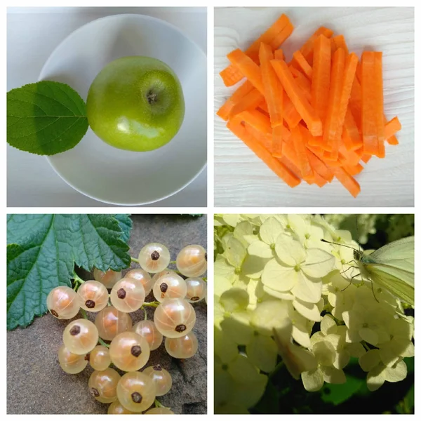 food collage. dietary food. diet. fruit. berries. vegetables. summer. figure. calories.