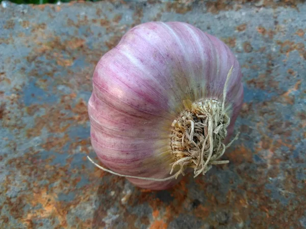 Ail Segments Assaisonnement Des Épices Ingrédient Food Organic Ingrédient — Photo