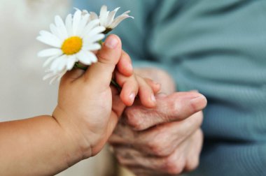 Bebek el papatya yaşlı kadın için tatile verir. 1 yıl ve 90 yıl