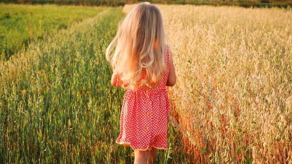 Girl with curly long hair walking on the field with oats at sunset. summer. vintage. — Stock Photo, Image