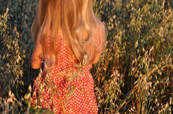 Meisje met krullend lang haar in een rode jurk lopen op het veld met haver bij zonsondergang. zomer. Vintage. avonturen — Stockfoto