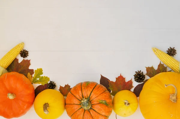 Yellow and orange pumpkinscorn, cones and autumn leaves on wooden background for harvest fall and thanksgiving theme.