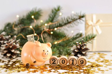 Yeni yıl 2019 çam dalları arka plan üzerinde para sembolü ile komik piggy banka ışıklar ve parlak yıldız ile dekore edilmiştir. Çin yeni yılı. metin, yeni yıl şablonu için kopya yer