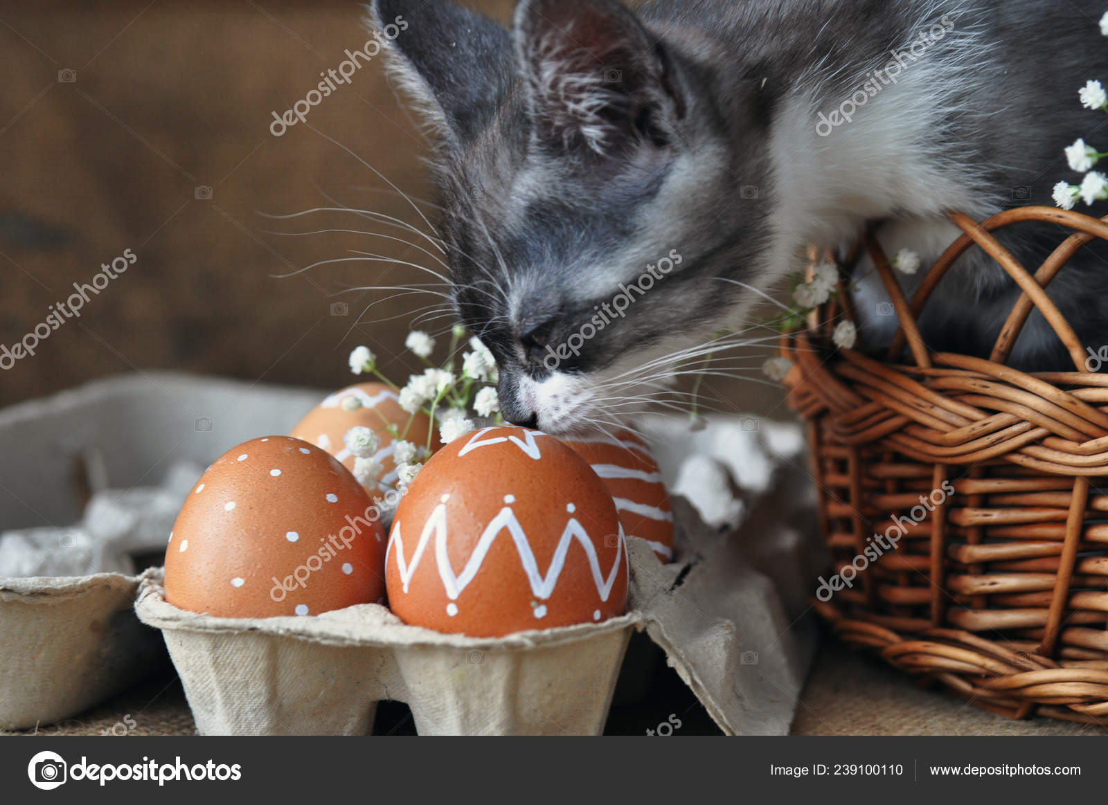 Gris Mignon Petit Chaton Dans Panier Osier Des Oeufs Pâques