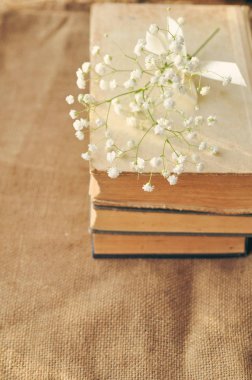 Vintage bahar arka plan beyaz çiçeklerle, çuval bezi bir sararmış eski kitaplar. portre. tonda