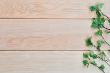 Ahşap bir arka plan üzerinde dalları üzerinde Huş genç yeşil yaprakları. Copyspace