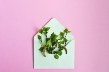 Pembe arka planda, kağıt bir zarfın içindeki dalların üzerinde genç yeşil yapraklar. Kopyalama alanı
