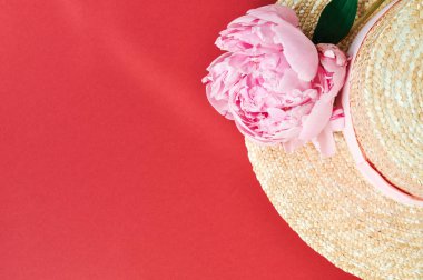 Kırmızı arka planda saman şapka yanında güzel pembe şakayık çiçek.