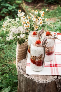 Rustik bir tarzda piknikte çilek, Chia ve granola ile yoğurt tatlısı ile cam bir kavanoz.