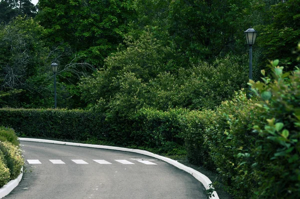 Una strada con una traversata pedonale dipinta che fa un giro circondato da un giardino — Foto Stock