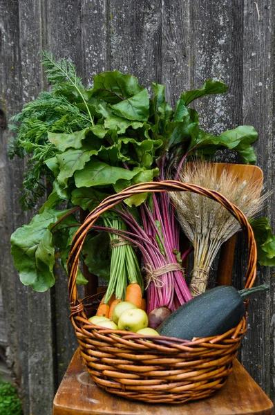 Basket with gifts of autumn consisting of carrots, beets, zucchini, apples, wheat on an old chair . Harvest. — Stock Photo, Image