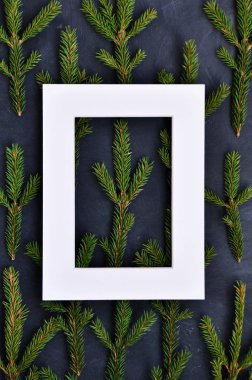 Koyu arka plan üzerinde köknar dallarının arka planda beyaz çerçeve, üst görünüm