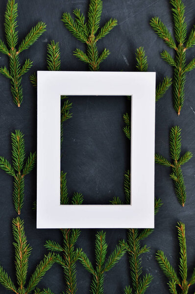 White frame on the background of fir branches on dark background, top view