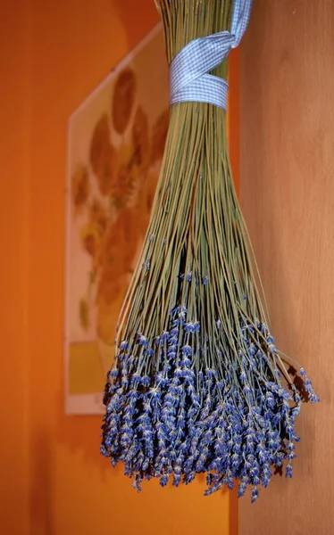 Bouquet di levandro — Foto Stock