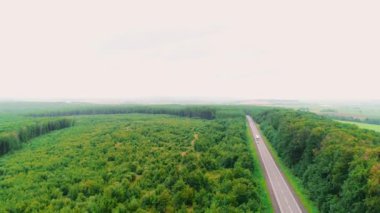Aerial flight over the car driving along the road surrounded by forest. 4K.
