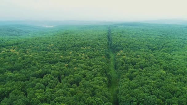 Vista aerea colorato inizio stagione autunnale percorso atmosfera nella nebbiosa foresta catena montuosa. 4K . — Video Stock