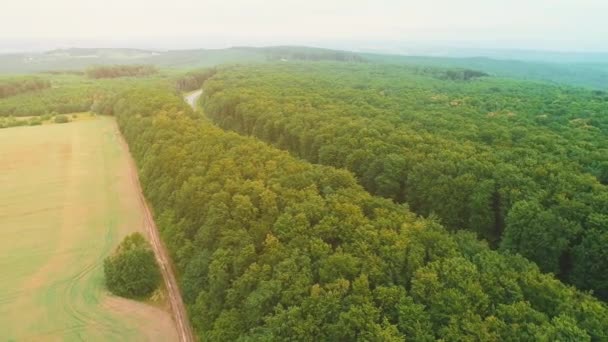 Widok z lotu ptaka wiejskiej drogi między owocne pole po lewej i gęstym lesie po prawej stronie. 4K. — Wideo stockowe