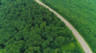 Aerial flight over the car driving along the road surrounded by forest. 4K.
