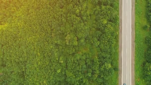 Vue aérienne de voitures lumineuses, conduite sur la route de campagne dans la forêt. 4K . — Video