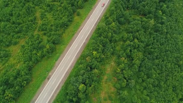 Parlak araba havadan görünümü, ormanda kırsal yolda sürüş. 4k. — Stok video