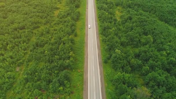 古い小さな石油タンカートラックは、野生の森に沿って高速道路を運転しています. — ストック動画