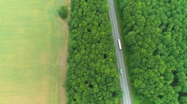 Ormanla çevrili yol boyunca giden kamyonların üzerinden hava uçuşu. 4k.