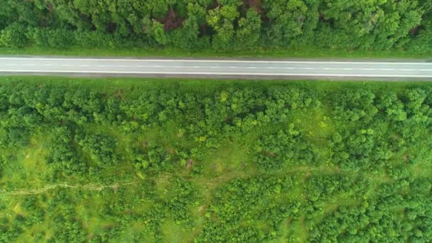 Letecký pohled na jízdu autem po silnici mezi rostlinami zeleného lesa. 4k. — Stock video