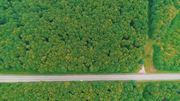 Diferentes coches faltan uno al otro, conduciendo por una carretera asfaltada que cruza el vasto bosque en un soleado día de verano. 4K . — Vídeos de Stock