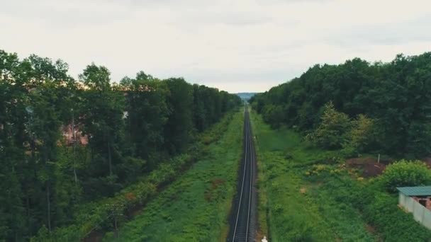 Widok z lotu ptaka, przesuwając w górę, trzyma w centrum uwagi Railtrack i pokazuje wspaniałe tereny wiejskie, na tle zielonego lasu. — Wideo stockowe