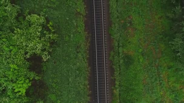 철도 트랙의 공중 이동 앞으로 보기와 그것을 따라 걷는 관광객, 숲에서, 여름 날에. 4k. — 비디오